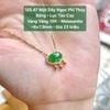 Mặt Dây Ngọc Phỉ Thúy Băng - Lục Táo Cay Vàng Vàng 10K - Moissanite ~6x7.9mm 125.47