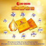  Sâm CND Ginseng Dưỡng Khớp Hòa Tan hỗ trợ giảm đau, khô khớp do viêm và thoái hóa (kèm túi) 