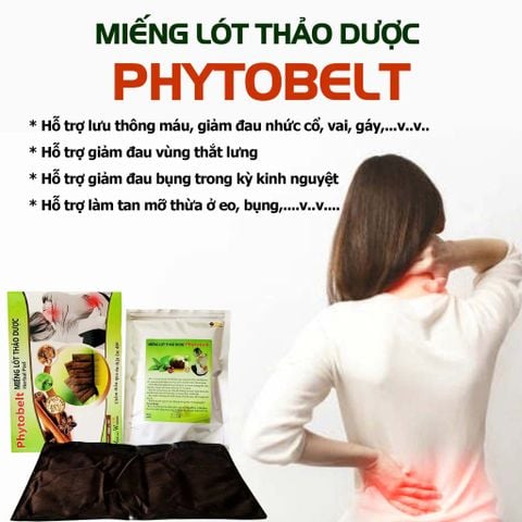  Miếng lót Thảo Dược Phytobelt 