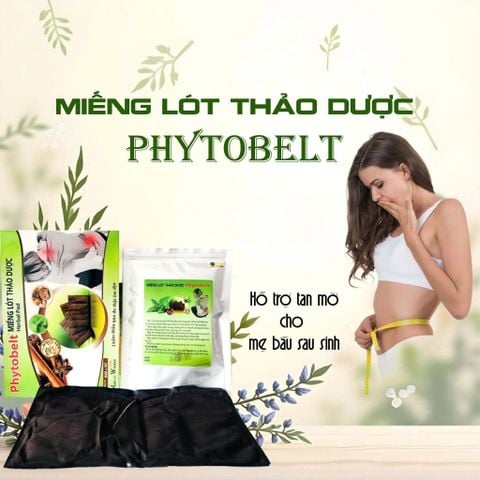  Miếng lót Thảo Dược Phytobelt 