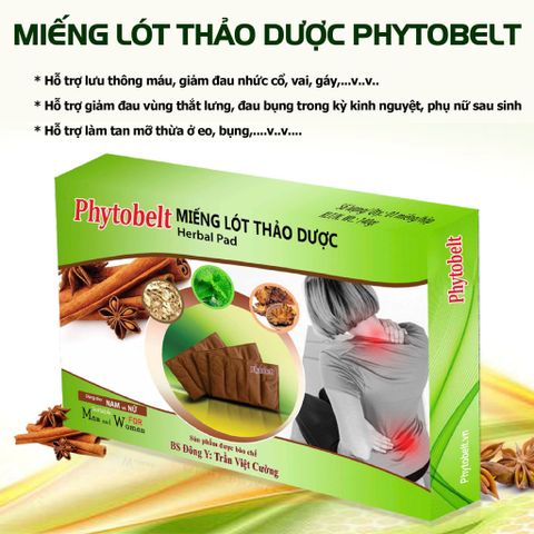  Miếng lót Thảo Dược Phytobelt 