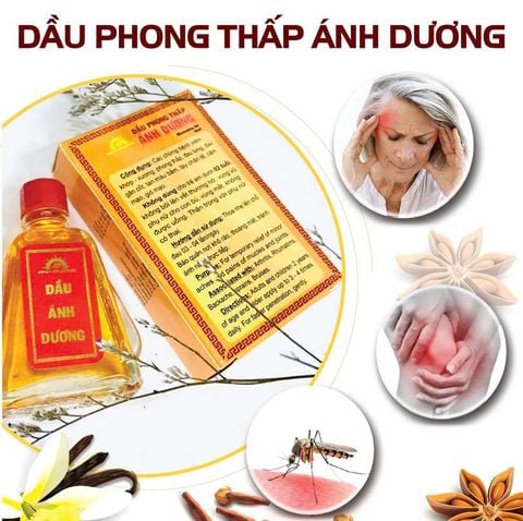  Dầu phong thấp gia truyền Ánh Dương 