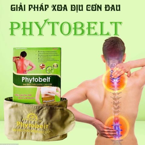  Đai đeo thảo dược Phytobelt 