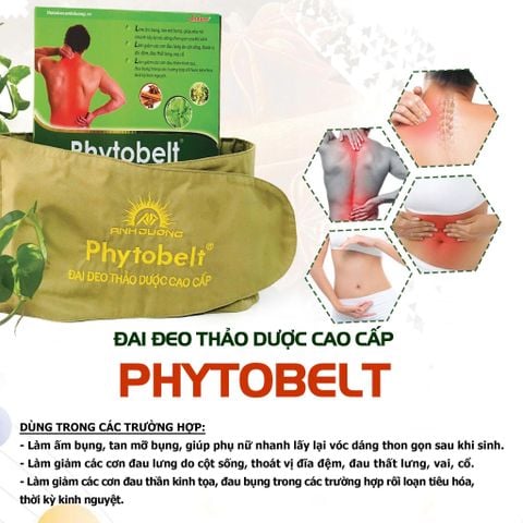  Đai đeo thảo dược Phytobelt 