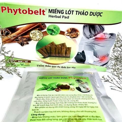  Miếng lót Thảo Dược Phytobelt 
