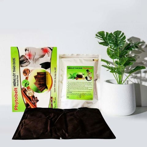  Miếng lót Thảo Dược Phytobelt 