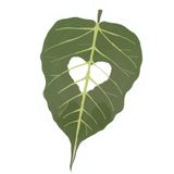  Yêu Lành - Chuyện Tình Yêu Dưới Góc Nhìn Phật Giáo 