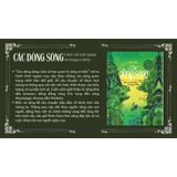  Các Dòng Sông : Lược Sử Trực Quan Từ Sông Ra Biển 