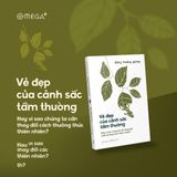  Vẻ Đẹp Của Cảnh Sắc Tầm Thường 