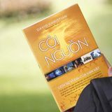  Cội Nguồn - Lịch Sử Vĩ Đại Về Vạn Vật (Bìa Cứng) 