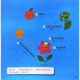 Steam Words Nature - Từ Vựng Về Tự Nhiên 