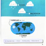 Steam Words Ocean - Từ Vựng Về Đại Dương 