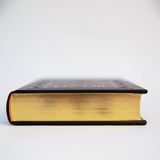  Sách : Bản Đặc Biệt Sách Kinh Thánh Tân Ước - dòng Chúa Cứu Thế (Bìa Da, Omega Plus) 