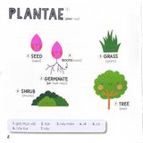  Steam Words Nature - Từ Vựng Về Tự Nhiên 