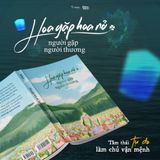  Hoa Gặp Hoa Nở, Người Gặp Người Thương 