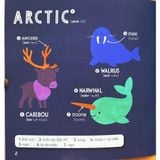  STEAM Words: Animals - Từ Vựng Về Động Vật 