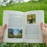  Sách -( Bìa cứng )  Vẻ Đẹp Của Cảnh Sắc Tầm Thường( Đặng Hoàng Giang - kèm chữ ký tác giả ) 