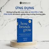 Con Đường Tăng Trưởng Thương Hiệu ( Bộ 2 Cuốn ) 