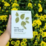  Vẻ Đẹp Của Cảnh Sắc Tầm Thường 