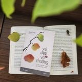  Vẻ Đẹp Của Vô Thường 