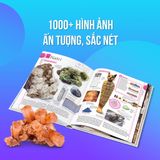  Thuyết Minh Trực Quan Nhất Về Bảng Tuần Hoàn Các Nguyên Tố Hóa Học (Bìa Cứng) 