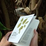  Vẻ Đẹp Của Cảnh Sắc Tầm Thường 