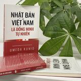  Việt Nam Và Nhật Bản Là “Đồng Minh Tự Nhiên” 