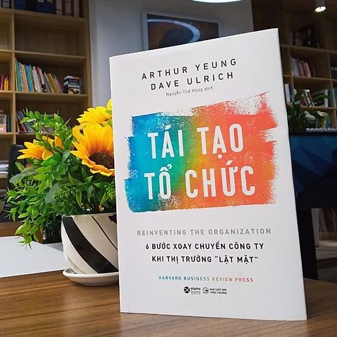  Tái Tạo Tổ Chức: 6 Bước Xoay Chuyển Công Ty Khi Thị Trường Lật Mặt 