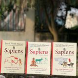  Sapiens : Lược Sử Loài Người Bằng Tranh ( Tập 1 +2 +3) 