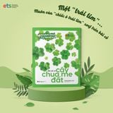  Khám Phá Tự Nhiên Quanh Em : Biết tuốt về cây Chua Me Đất 