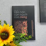  Bản Đồ Tâm Hồn Con Người Của Jung 
