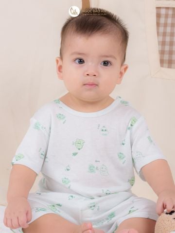Bộ áo quần ngắn Cài Vai Honey rayon