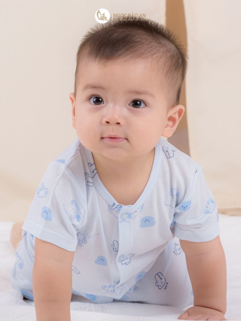 Bộ áo quần ngắn Cài Giữa Honey rayon