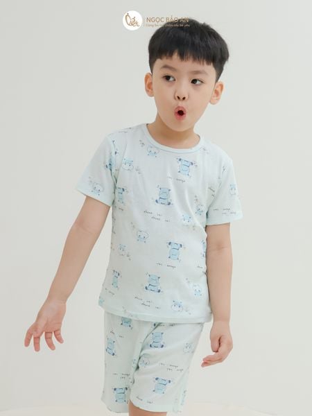 [HONEY] Bộ quần áo ngắn tay ngắn borib 3 hoạ tiết