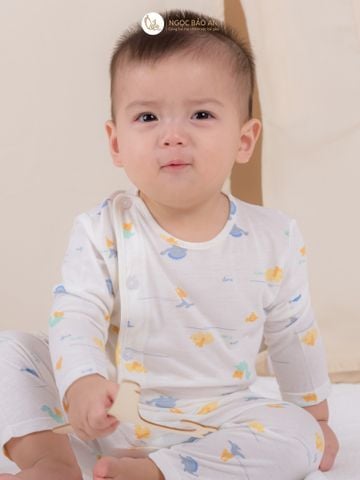 Bộ áo quần dài Cài Bên Honey rayon