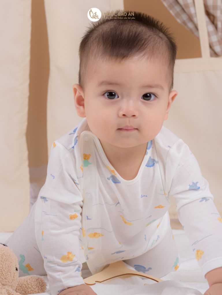 Bộ áo quần dài Cài Bên Honey rayon