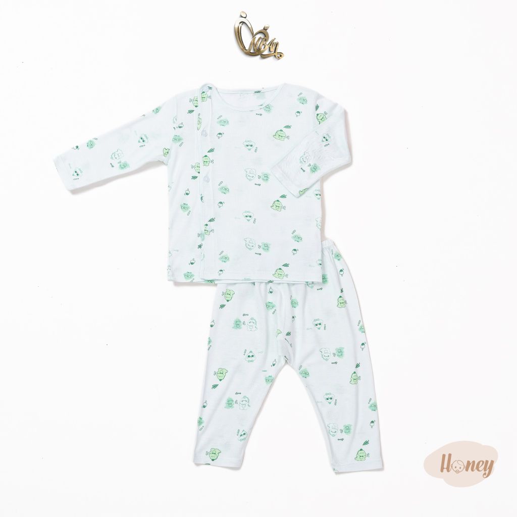 Bộ áo quần dài Cài Bên Honey rayon