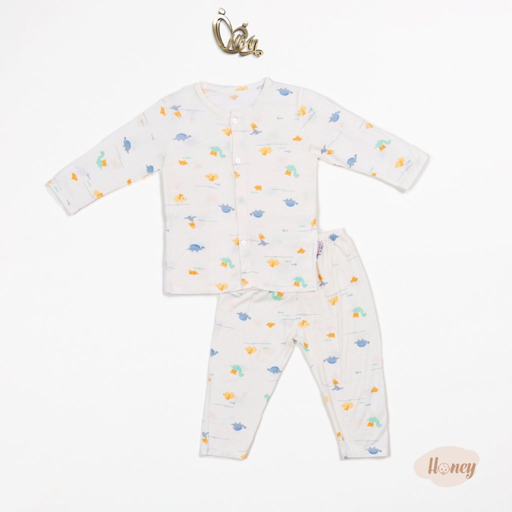 Bộ áo quần dài Cài Giữa Honey rayon