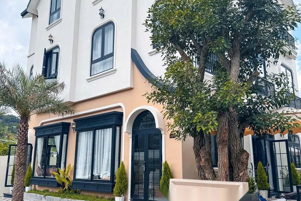  Pineapple Villa- SDAM144 