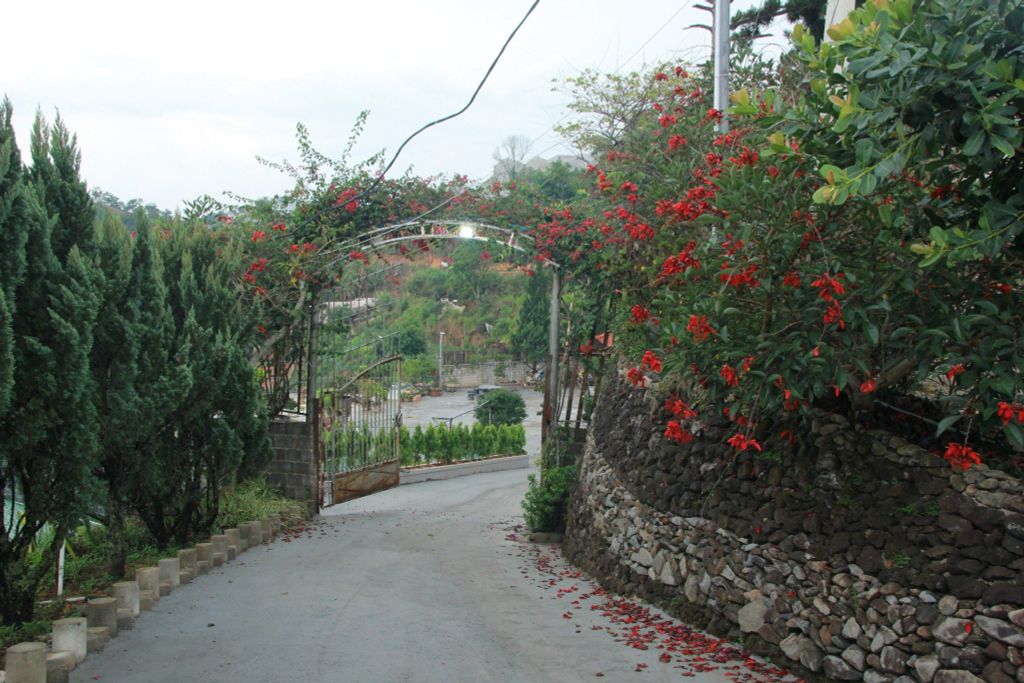  Đỗ Quyên Home - SDAL152 