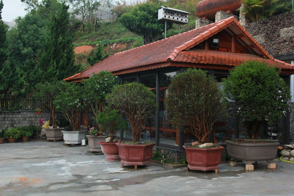  Cẩm Tú Cầu Home - SDAL151 