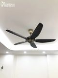  Quạt trần 5 cánh QT017 