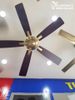  Quạt trần 5 cánh gỗ QT024 