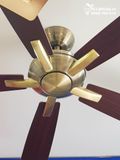  Quạt trần 5 cánh gỗ QT024 