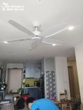  Quạt trần không đèn QT002 