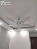 Quạt trần không đèn QT002 