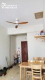  Quạt trần không đèn QT004 
