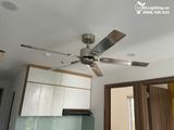  Quạt trần 5 cánh thép QT006 