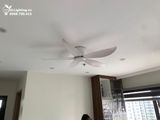  Quạt trần cổ ngắn QT008 
