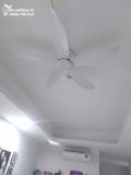  Quạt trần cổ ngắn QT008 